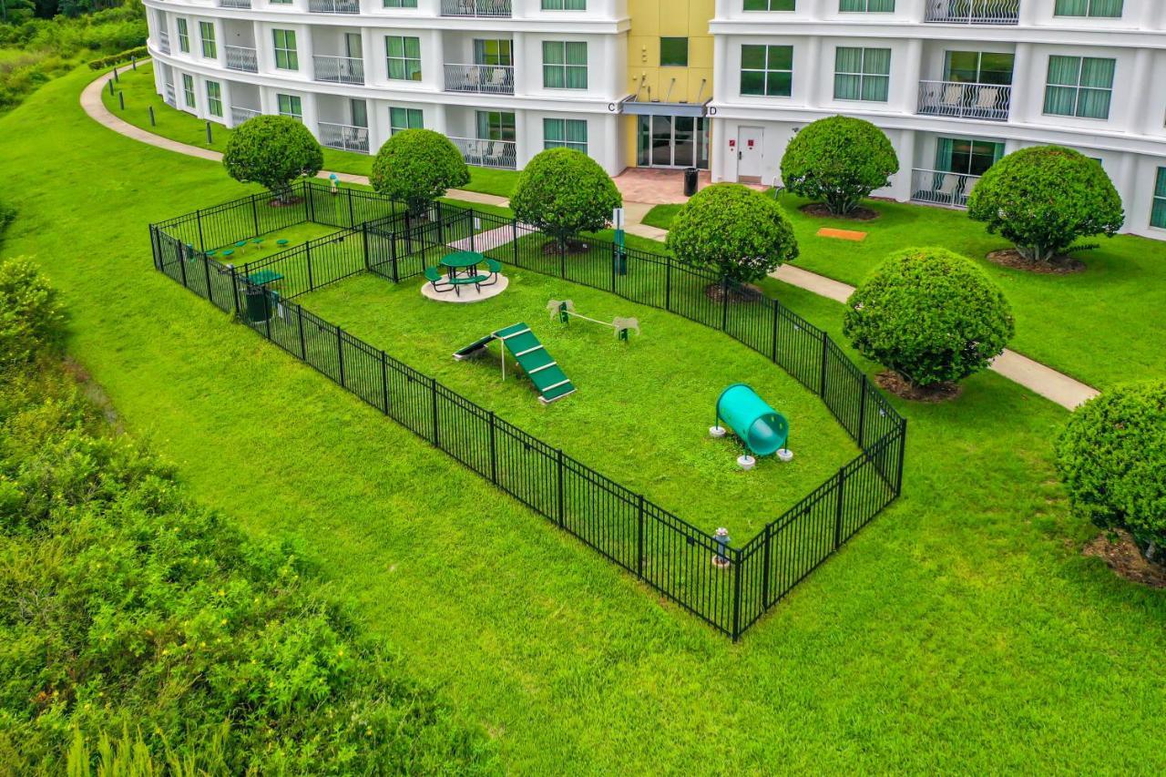 Pet Friendly In Orlando Area Near Disney Celebration Exteriör bild