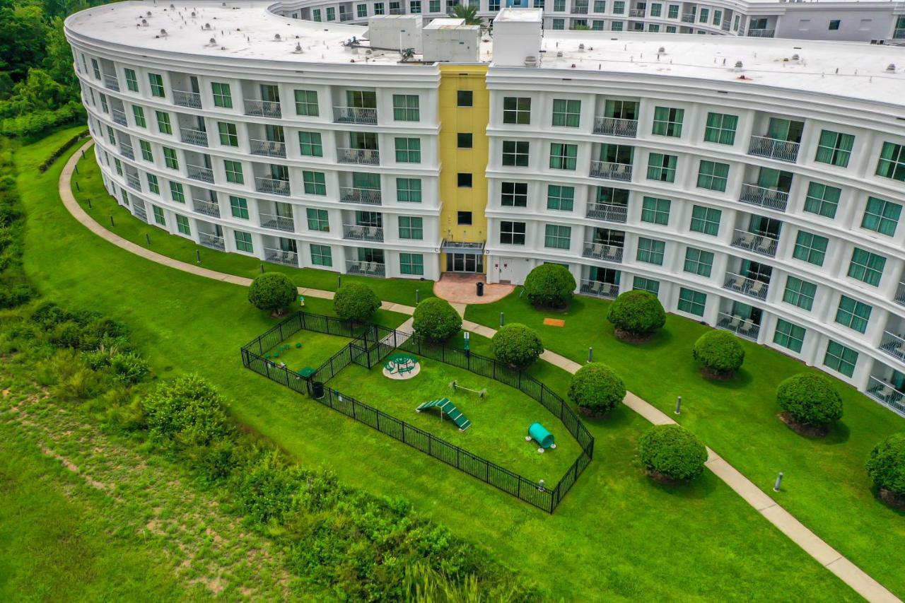 Pet Friendly In Orlando Area Near Disney Celebration Exteriör bild